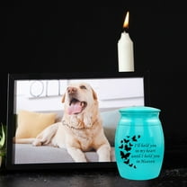 Stainless Steel Pet Urns,Premium Urns for Dog and Cat Ashes,Suitable Size Urns for Pet Ashes (Small, Blue)