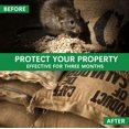 thumbnail image 5 of Paddsun Rodent Repellent Balls, 10 Count for Squirrels, Mice, Rodents Soundwave Weather-Resistant for Indoor Outdoor Use in Patio, 5 of 7