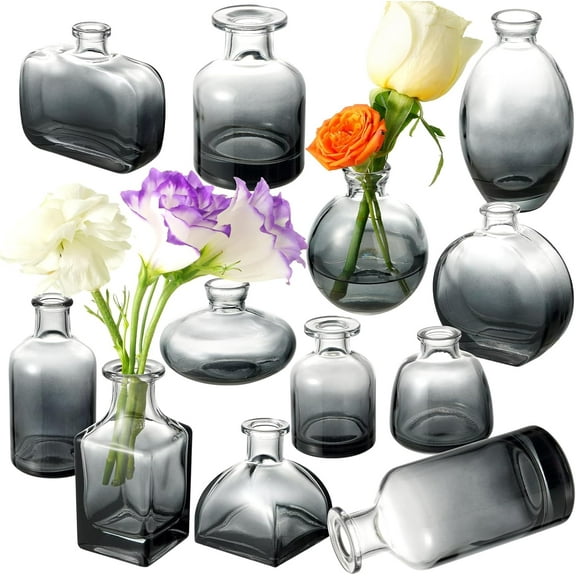 Small Mini Glass Vases, Black Clear, Set of 12