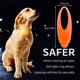 thumbnail image 4 of Collar De Perro Con Luz Led, Lámpara De Collar De Perro Brillante De Silicona Con 3 Modos, Luz Antipérdida Con Clip, Luces Nocturnas De Seguridad Para Exteriores, Accesorios Para Mascotas Para Perros Muyoka Hogar, 4 of 6