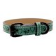 thumbnail image 1 of Collar Para Perros Raza Ch Med Y Gde Tipo Piel Ajustable, 1 of 8