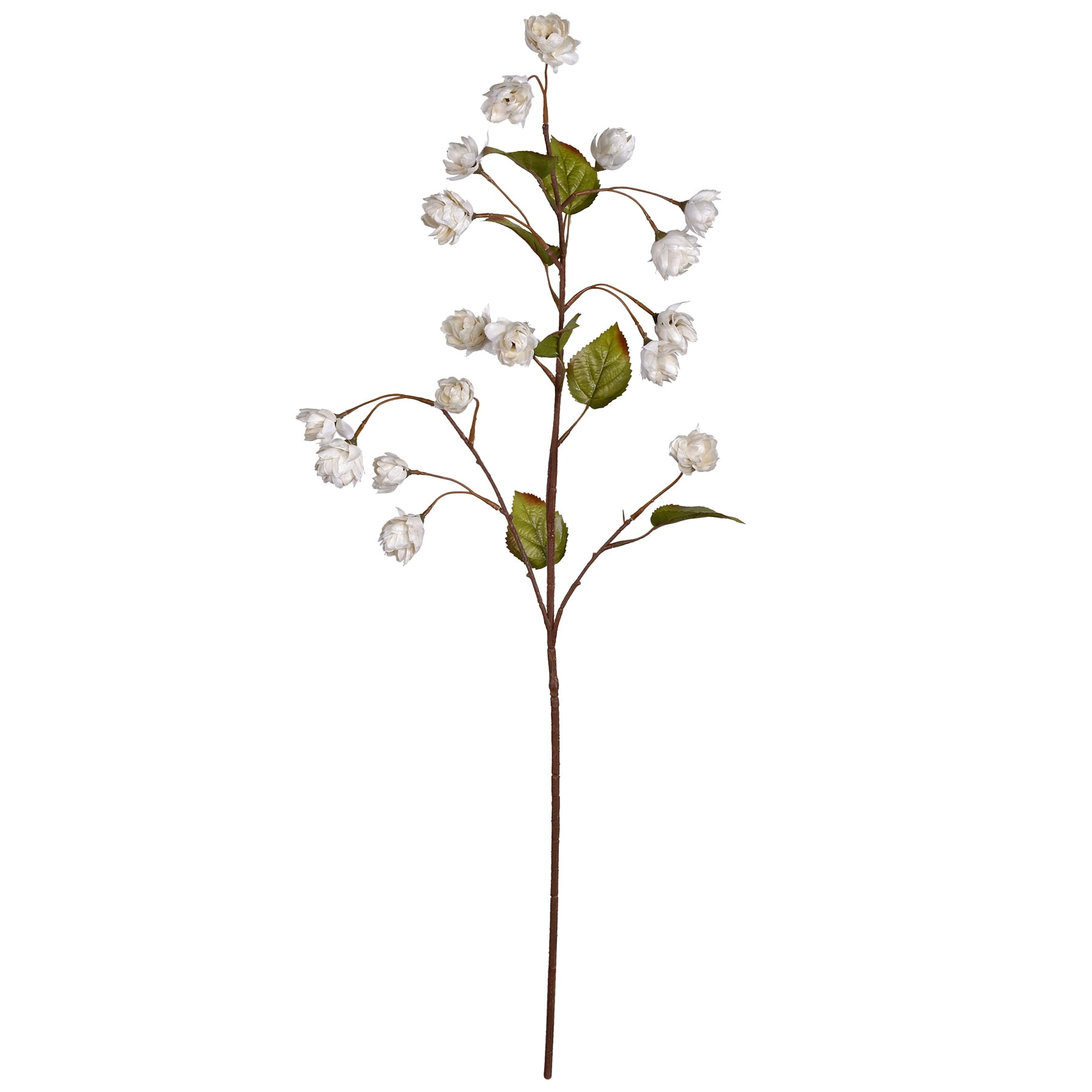 Dried Flower Preserving Spray Michaels Best Flower Site