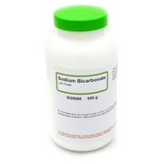 Laboratory-Grade Sodium Bicarbonate, 500g - The Curated Chemical Collection