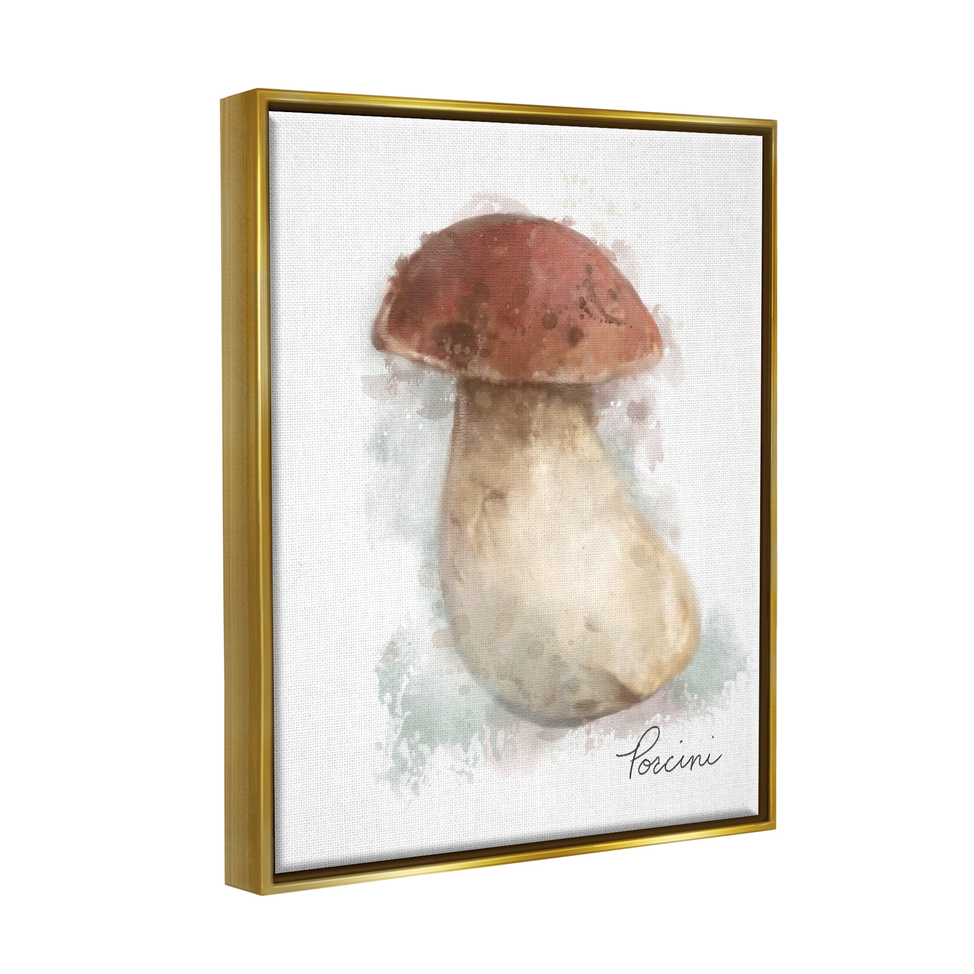 Stupell Industries Abstract Porcini Mushroom Botanical & Floral Painting Gold Floater Framed Canvas Art Print Wall Art, 17 x 21