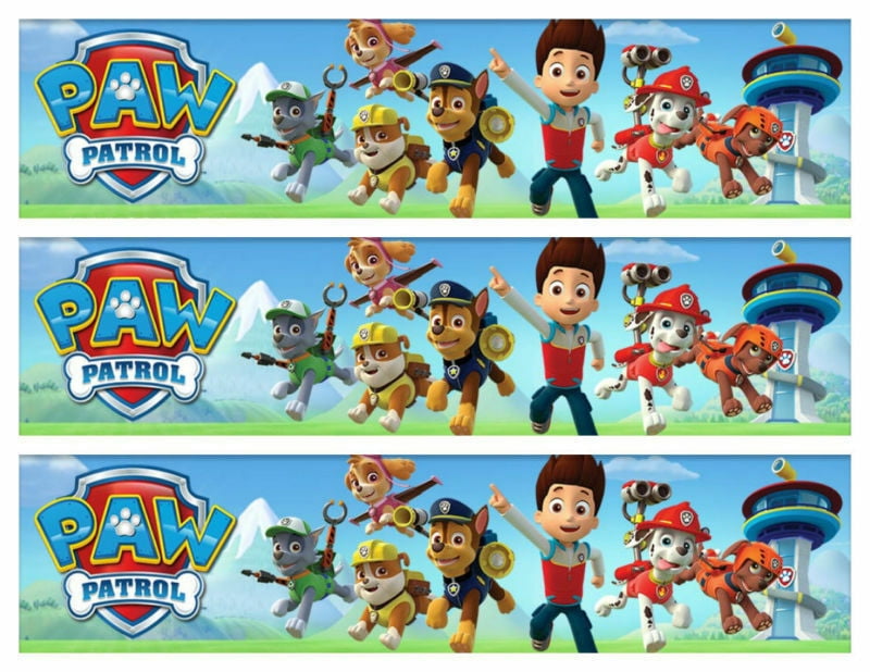 Paw Patrol Characters and Logo Edible Icing Images 3 Strips