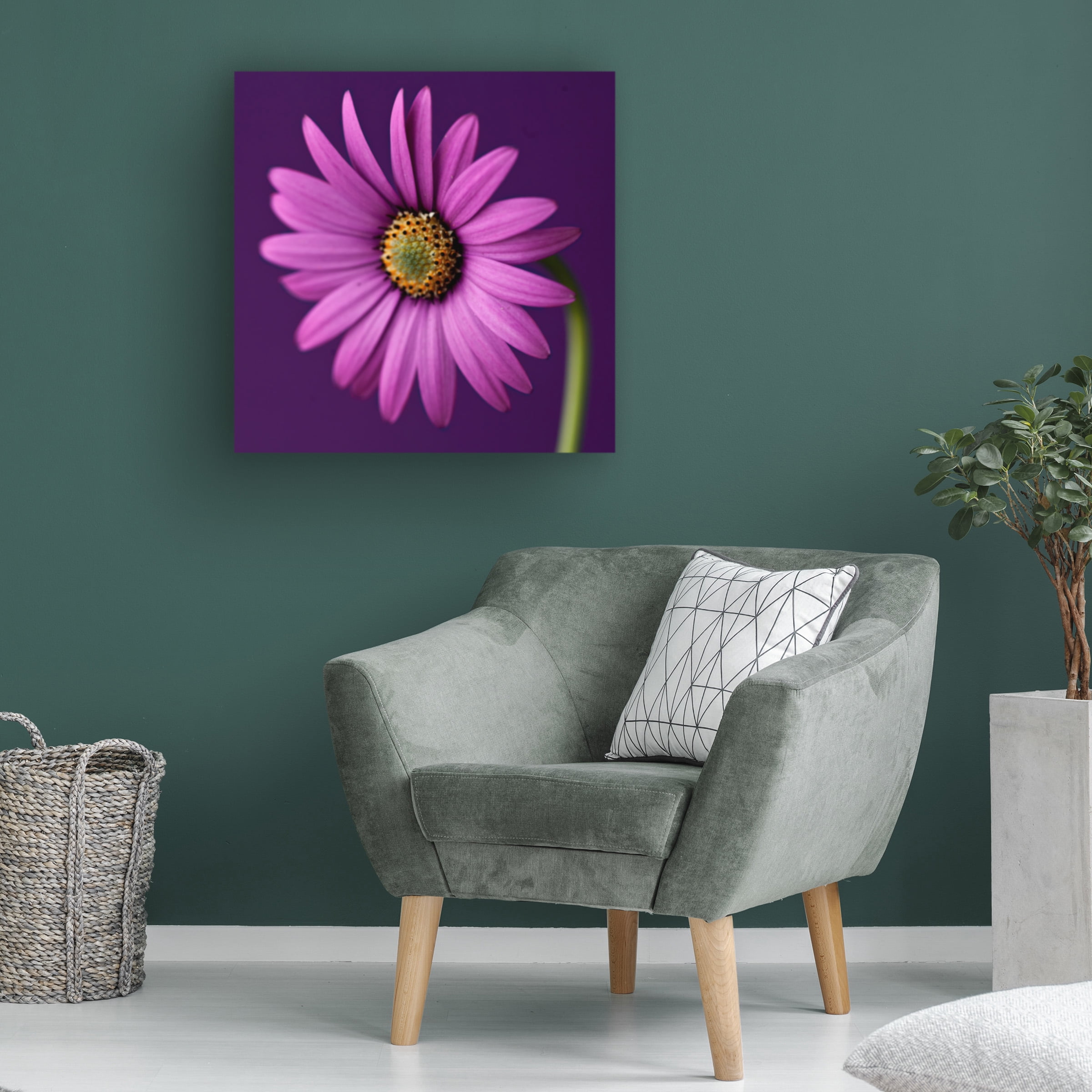 Symposium Design 'Plum Daises I' Canvas Art