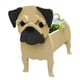 thumbnail image 1 of Maceta Con Forma De Perro, Maceta Suculenta De Animales De Dibujos Animados Para La Decoración Del Jardín Del Hogar Inevent HA036250-00, 1 of 6