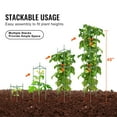 thumbnail image 2 of KFFKFF 6-Set Garden Tomato Supports, 48" Tall Trellis for Plants, Stackable Vegetable & Flower Climbing Stakes, Ideal for Raised Beds & Climbers, 2 of 9