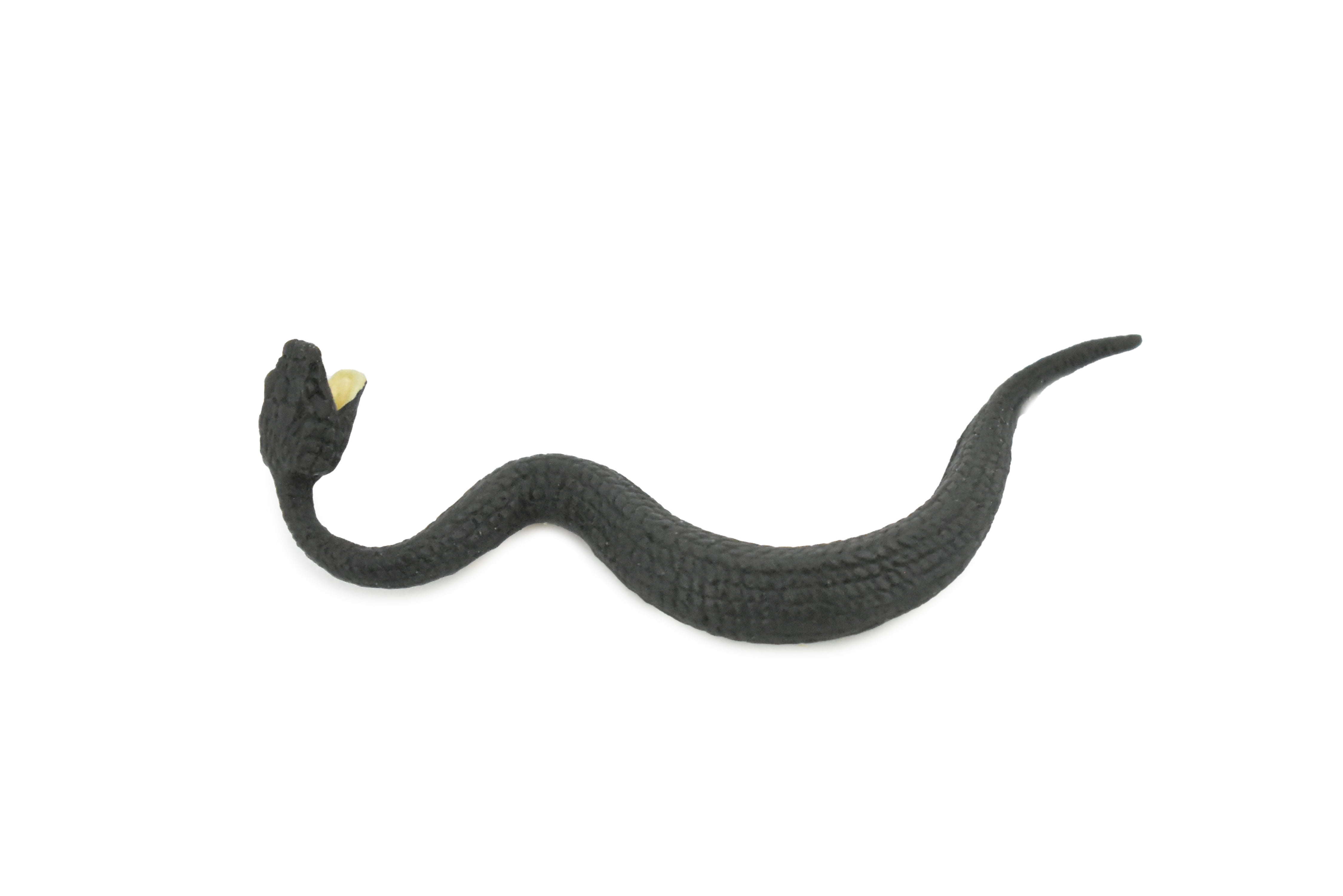 Educational Black Water Moccasin, Lifelike Model 2 1/2" Snake Replica