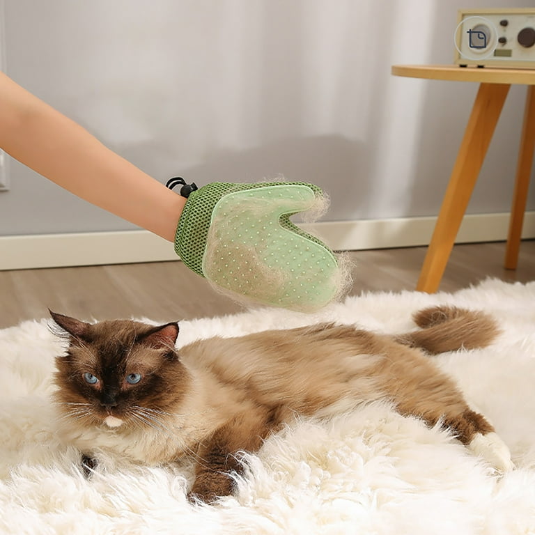 Cat fur glove online