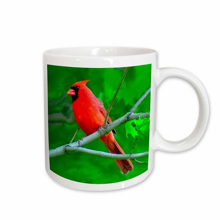 

3dRose Red Cardinal Ceramic Mug 11-ounce