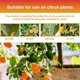 thumbnail image 2 of Liquid Citrus Tree Plant Fertilizers Fruit Growth Nutrient Solution for Indoor Outdoor Use, 2 of 5