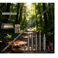 thumbnail image 3 of Bâtons de Marche Plein Air Personnel de Randonnée Équipement Multitool Mâtx de Randonnée Ajustables pour Camping Randonnée Survie en Milieu Sauvage, 3 of 5