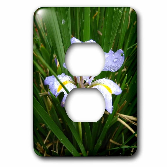 3dRose, Iris, 2 plug outlet cover