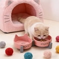 thumbnail image 6 of chaungfeng Elevated Ceramic Dog Bowl Set - Raised Feeding Bowls with Non-Slip Stand - Small Pet Dishes for Food and Water - for Cats and Puppies - 2 Cups - Pink, 6 of 7