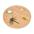 thumbnail image 4 of Life Cycle Board Science Realistic Educational Teaching Model Cognitive Toy dragonfly, 4 of 8