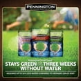 thumbnail image 4 of Pennington Smart Seed Tall Fescue Grass Seed, 7 lbs, 4 of 4