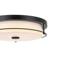 thumbnail image 5 of Living District Kolson 16 Inch Led Flush Mount In Black, 5 of 8