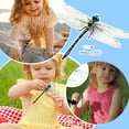 thumbnail image 2 of 3D Lifelike Dragonfly Clip On Outdoor Decor With Hand-Painted Details And Expansive Wings, Natural Pest Repellent For Bees And Mosquitoes, Suitable For Hats Backpacks Camping, 2 of 8