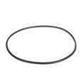 thumbnail image 1 of Everpure 151122 EPDM BB UPC Véritable OEM O-Ring, 1 of 1