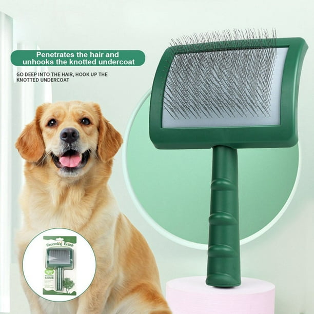 Dog brush for wire hair hot sale