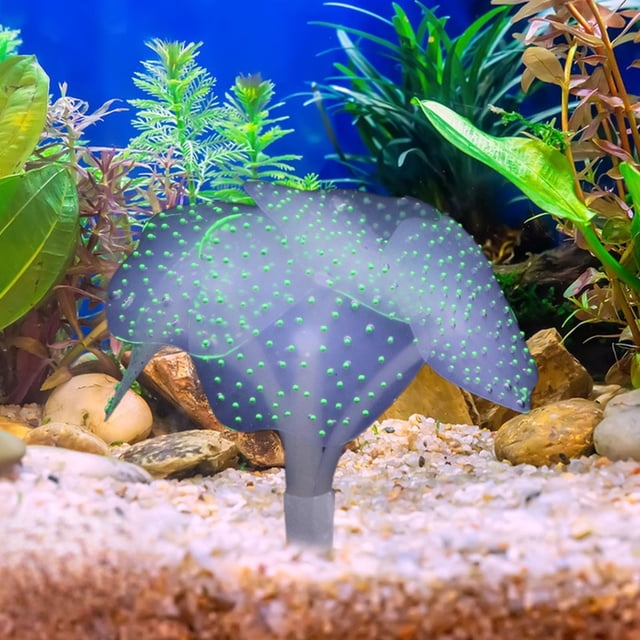 Decoración de Acuarios con Medusas Fluorescentes, Césped Acuático y Paisajismo.
