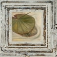 thumbnail image 2 of Pinto, Patricia 26x26 White Modern Wood Framed Museum Art Print Titled - Flowers and Leaves Square II, 2 of 4