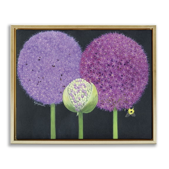 Stupell Industries French Country Vintage Allium Plants Gold Floating Frame Canvas Art, 21 x 17, by Ann Jasperson