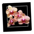 thumbnail image 2 of Gango Home Decor Orchids on Black I by Alan Hausenflock (Ready to Hang); One 24x24in Hand-Stretched Canvas, 2 of 4