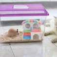 thumbnail image 2 of Golden Hamster House Hamster Colorful Hideout Small Pet Exercising Habitat, 2 of 8