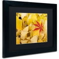 thumbnail image 2 of Trademark Fine Art "The Intruder" Canvas Art by Philippe Sainte-Laudy Black Matte, Black Frame, 2 of 4