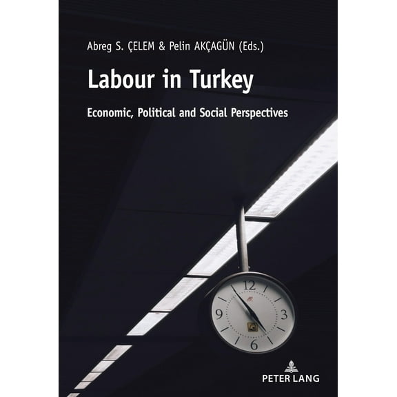Labour in Turkey: Economic, Political and Social Perspectives (Paperback)
