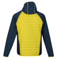 thumbnail image 2 of Regatta - Chaqueta Acolchada Andreson VI para Hombre (Espiga Oscuro, Vaquero Luz de Luna), 2 of 4