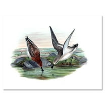 Designart ' Vintage Countryside Two Birds In Lake ' Farmhouse Canvas Wall Art Print