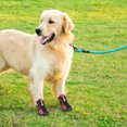 thumbnail image 4 of Greeniant Zapatos para mascotas Botas deportivas para interiores Malla Transpirable Clásico Algodón Cremallera Calzado para mascotas Ropa para mascotas rojo cuatro Greeniant PT000055-04B, 4 of 6