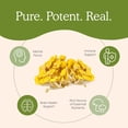 thumbnail image 3 of Real Mushrooms Ergo + L-Ergothioneine | 60 Servings | 60 Capsules, 3 of 3