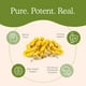 thumbnail image 3 of Real Mushrooms Ergo + L-Ergothioneine | 60 Servings | 60 Capsules, 3 of 3