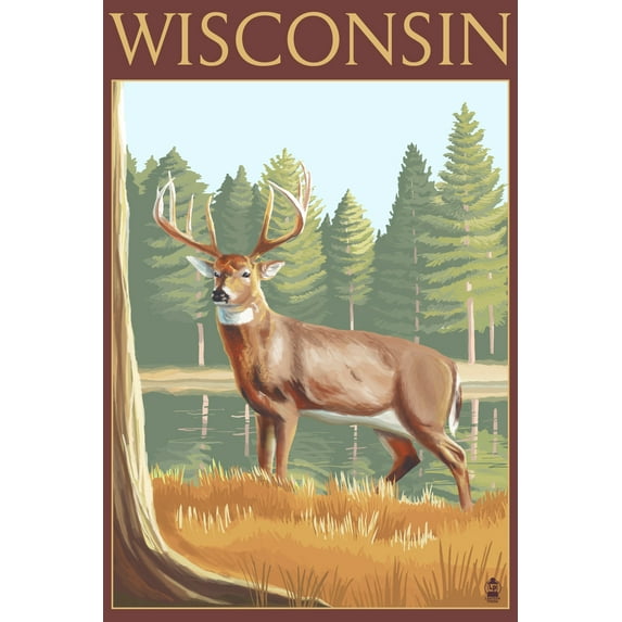 White-tailed Deer, Wisconsin (16x24 Giclee Gallery Art Print, Vivid Textured Wall Decor)