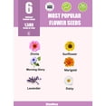 thumbnail image 2 of RitualBoxy 6 Varieties 1,500+ Seeds Flower Garden Bulk Pack – Annual Flowers to Attract Butterflies, Other Pollinators – Non-GMO Heirloom Seeds for Planting Outdoor, DIY Home Garden Gift, 2 of 7