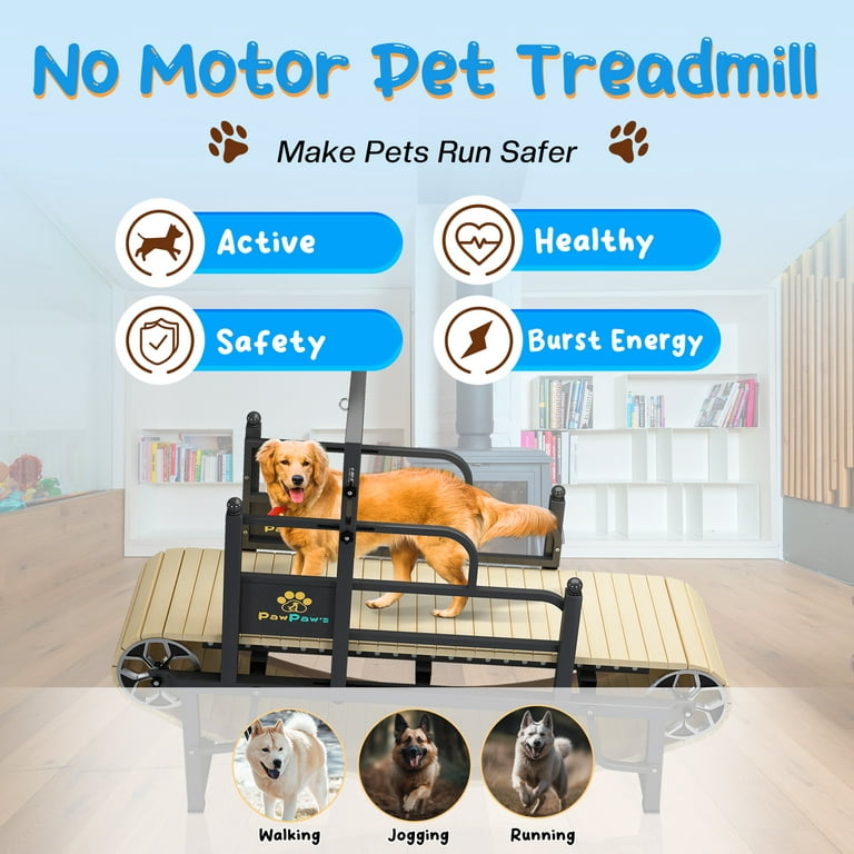 Dog Treadmill Benefits - Meadowlake Pet Resort and Training Center