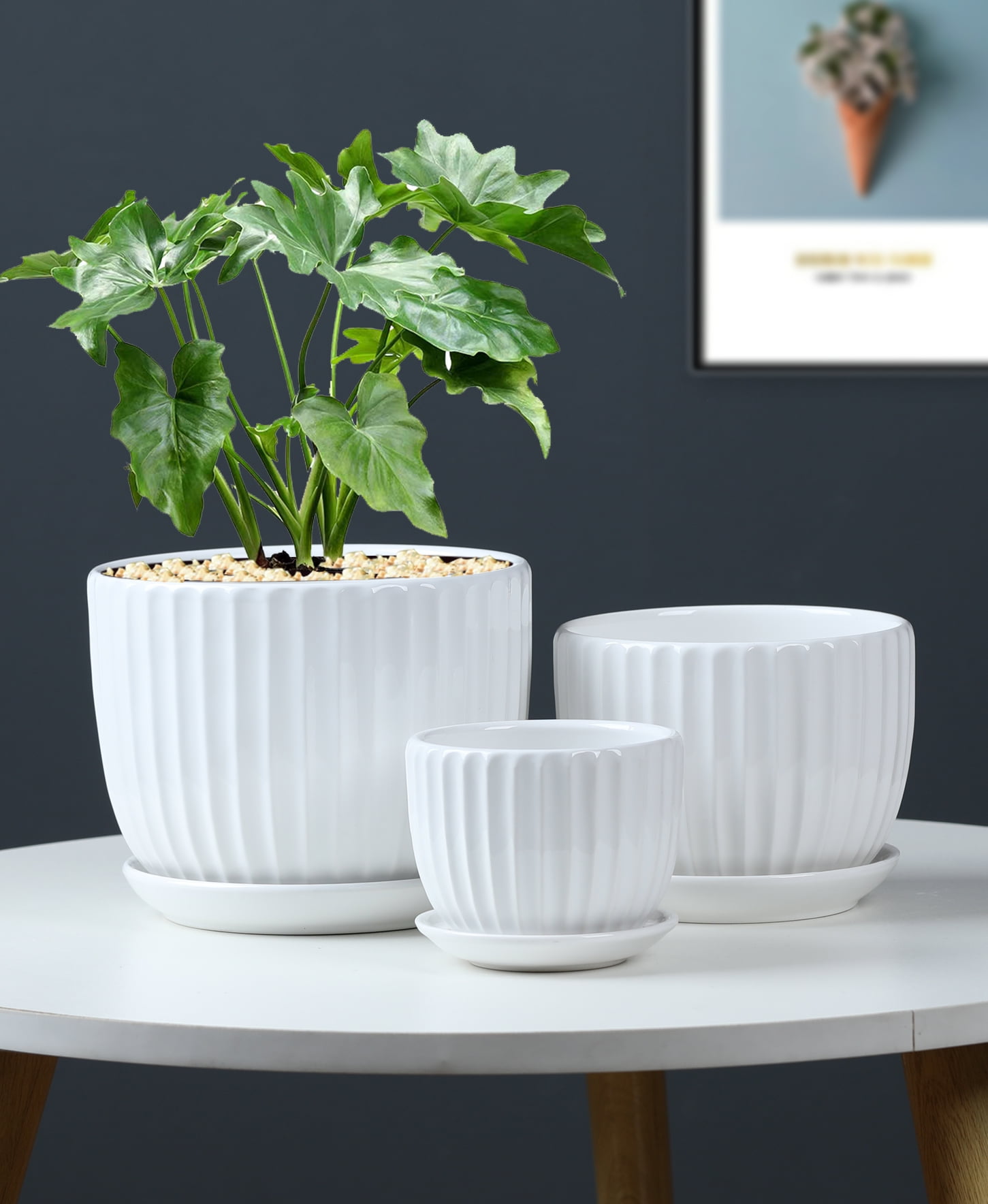 White Plant Pots Set of 3,Indoor Ceramic Flower Pot with Saucers,6.7"&5.5"&3.9" Inch Small to Medium Sized Planters for Plants,Round Modern Garden Pots