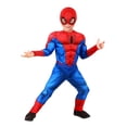 thumbnail image 1 of Disfraz Jazwares Marvel Spider-Man para niños pequeños, 1 of 7