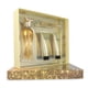 thumbnail image 1 of Z4 SET PARIS HILTON GOLD RUSH 4PZS 100ML EDP SPRAY/ BODY LOTION 90ML/ SHOWER GEL 90ML/ 10ML EDP SPRAY, 1 of 3