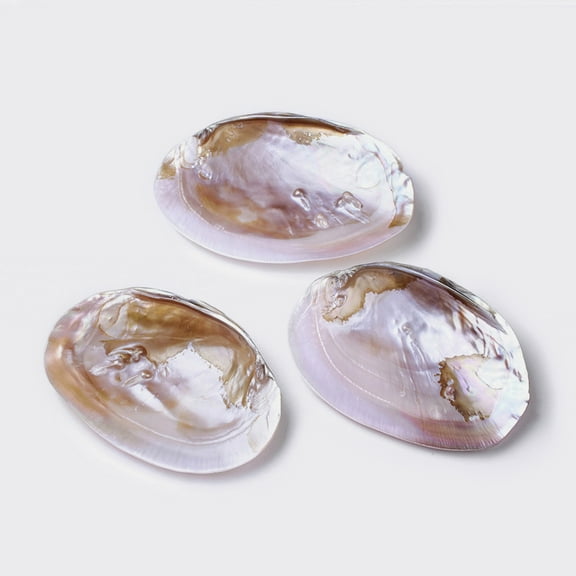 Natural Freshwater Pearl Shell Decoration 135~170x95~110x30~40mm