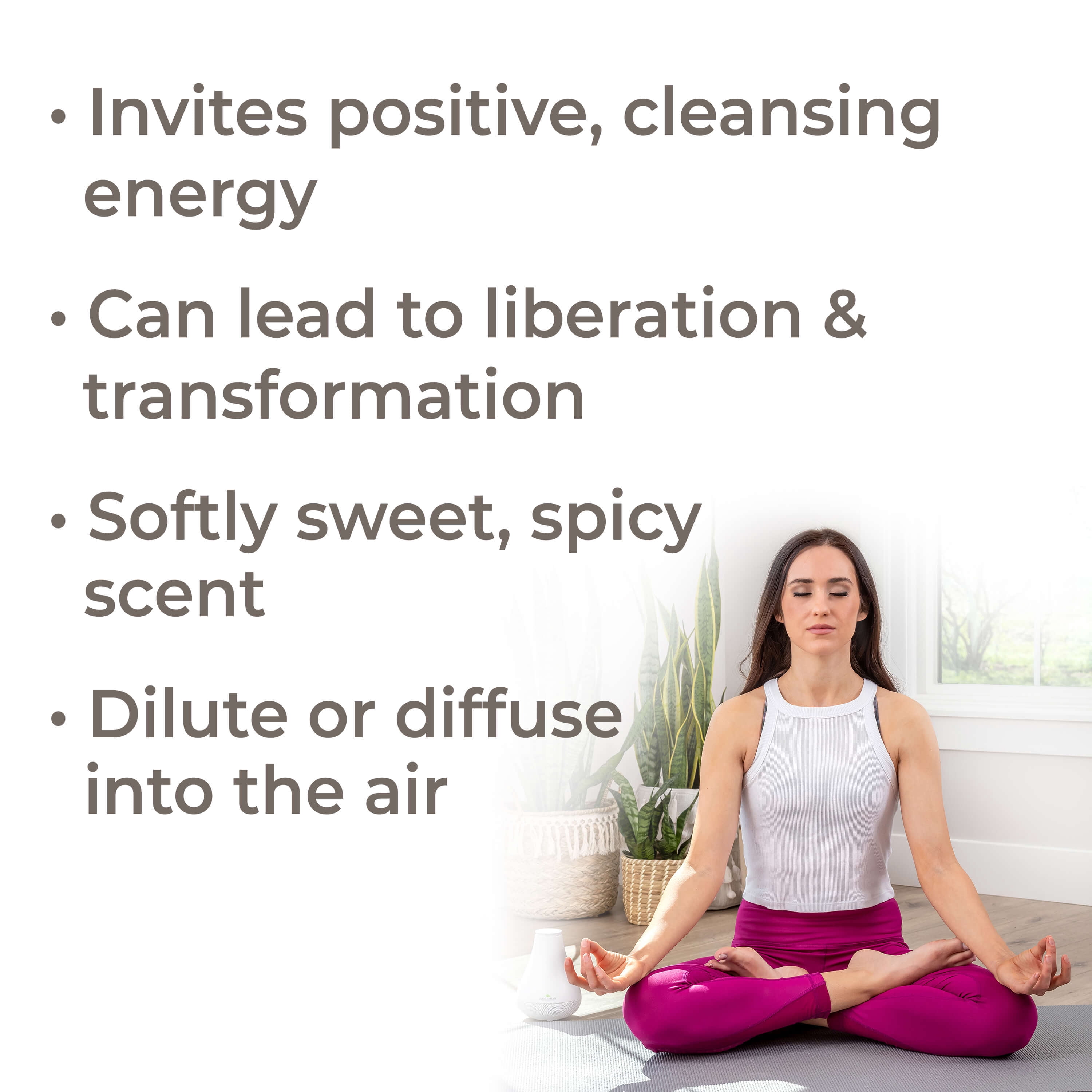 plant therapy chakra 3 self manifestation synergy (solar plexus) pre-diluted roll-on 10 ml (1/3 oz) 100% pure, therapeutic grade