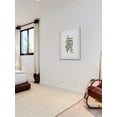 thumbnail image 5 of "Herb Thyme" Framed Painting Print, 5 of 6