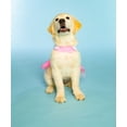 thumbnail image 6 of Doggy Parton, Dog Clothes, Cowgirl Collared Dog or Cat Dress, Pink, S, 6 of 8