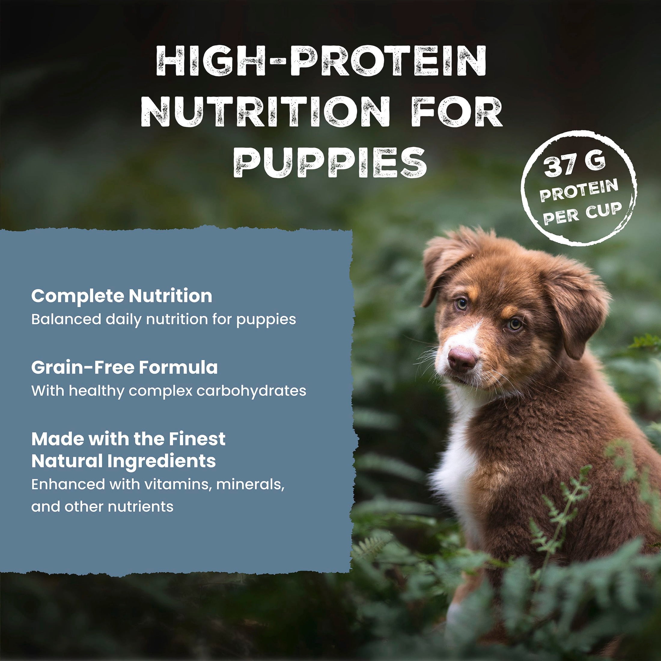 (3 pack) Blue Buffalo Wilderness Wet Puppy Food, Turkey & Chicken Grill, 12.5oz