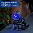 thumbnail image 2 of shiyou-Led Small Dog Collar - Waterproof Dog Light Up Collars Rechargeable, Adjustable Lighted Puppy Collar for Small Dogs and Cats (Blue, X-Small (Pack of 1)), 2 of 4