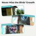 thumbnail image 5 of TT Nature Bird House with Camera Solar Powered, AI Live View Bird Feeder with Camera, Watch Bird Nesting and Hatching, Outdoor Birdhouse Camera, Ideal Gift for Bird Lovers, 5 of 10
